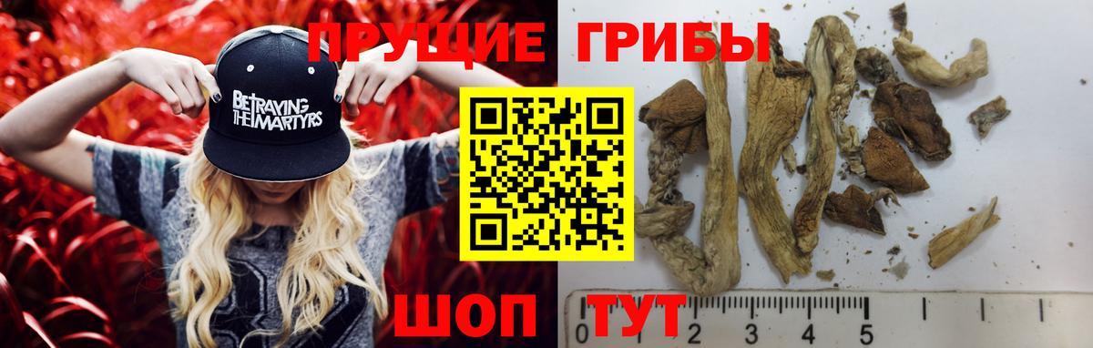 Псилоцибиновые грибы Magic Shrooms Видное